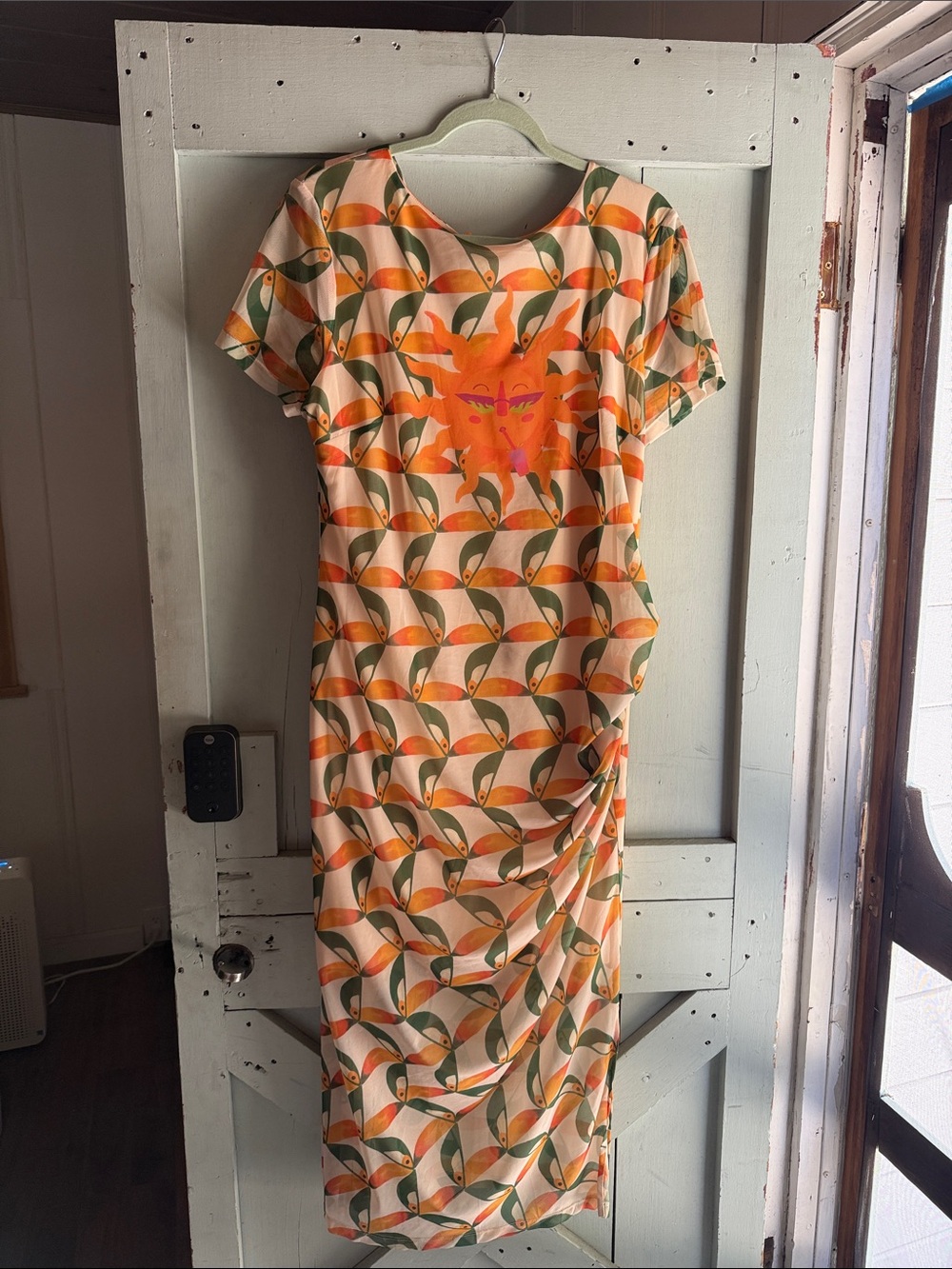 Farm Rio Anthropologie Sheer Dress